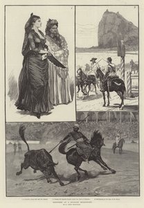 İspanyol Boğa Güreşi